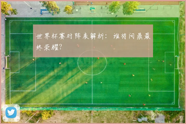 世界杯赛对阵表解析：谁将问鼎最终荣耀？