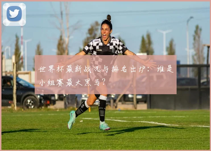 世界杯最新战况与排名出炉：谁是小组赛最大黑马？