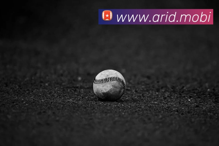 App Interface Preview