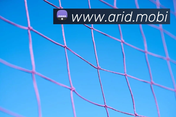 开云手机网页入口APP 封面图